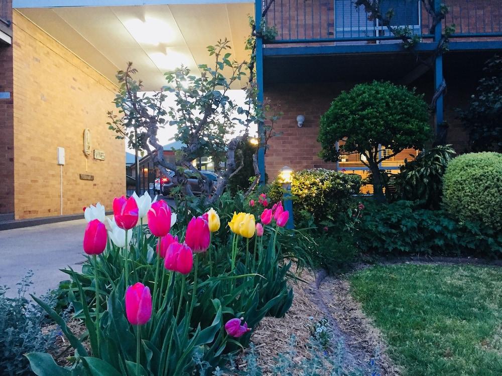 ستانثورب The Vines Motel & Cottages المظهر الخارجي الصورة