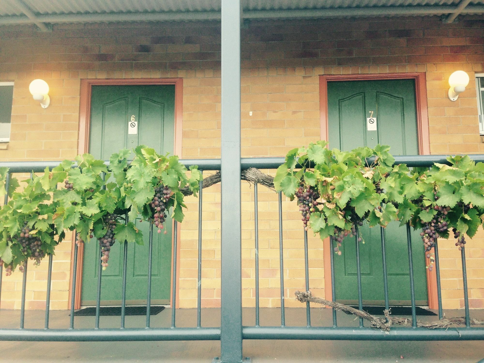 ستانثورب The Vines Motel & Cottages المظهر الخارجي الصورة
