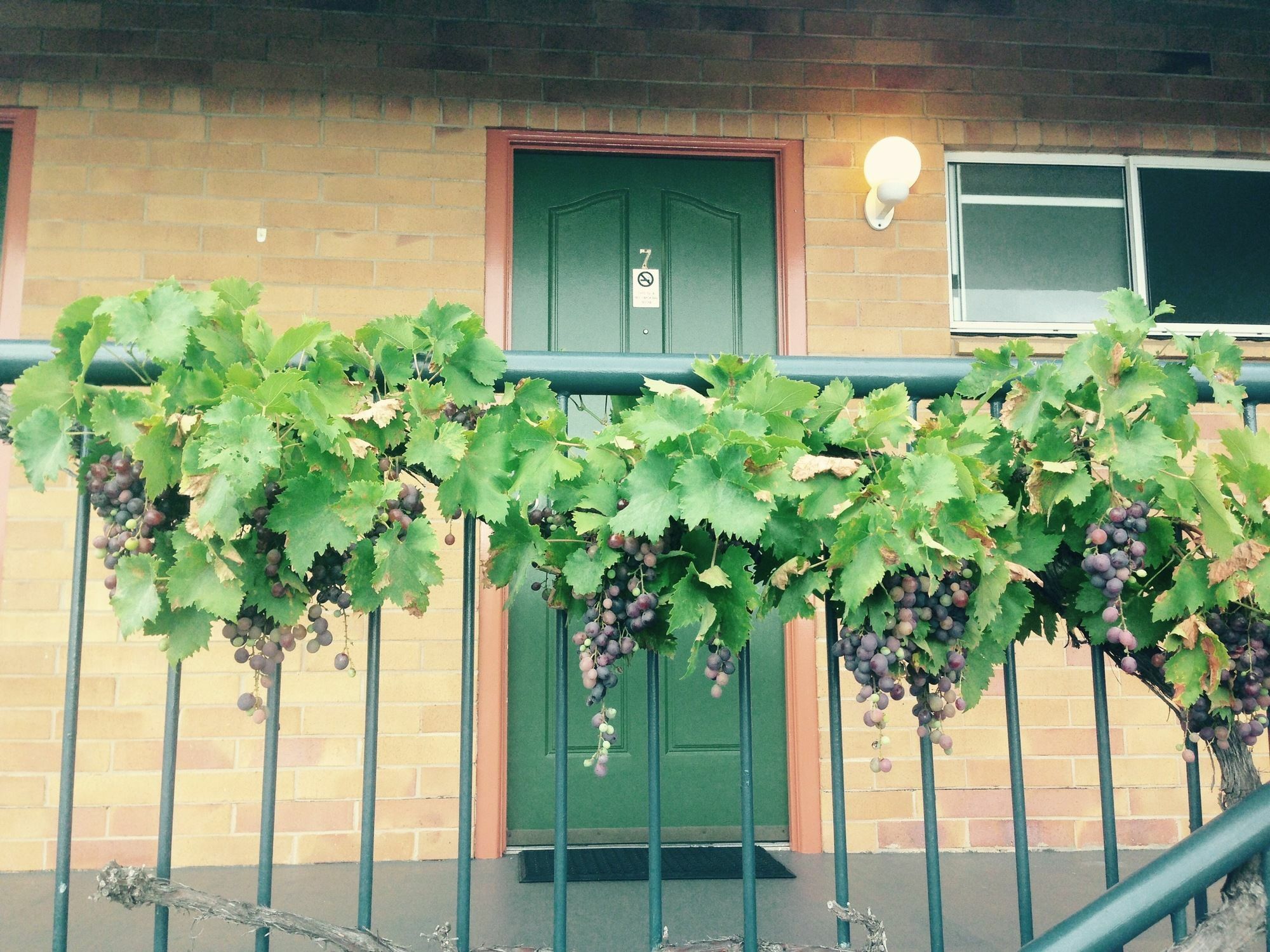 ستانثورب The Vines Motel & Cottages المظهر الخارجي الصورة